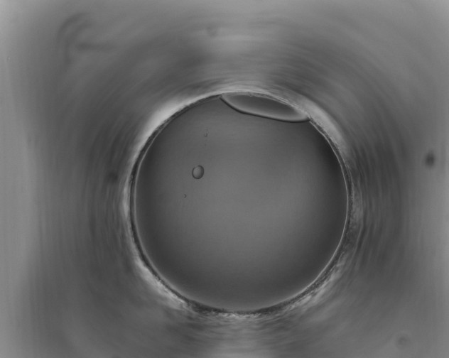X0000094340958200711091426
