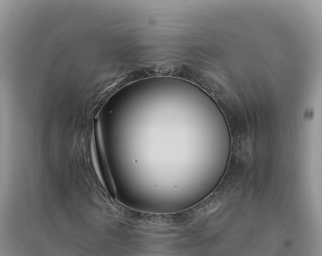X0000094340962200711091425