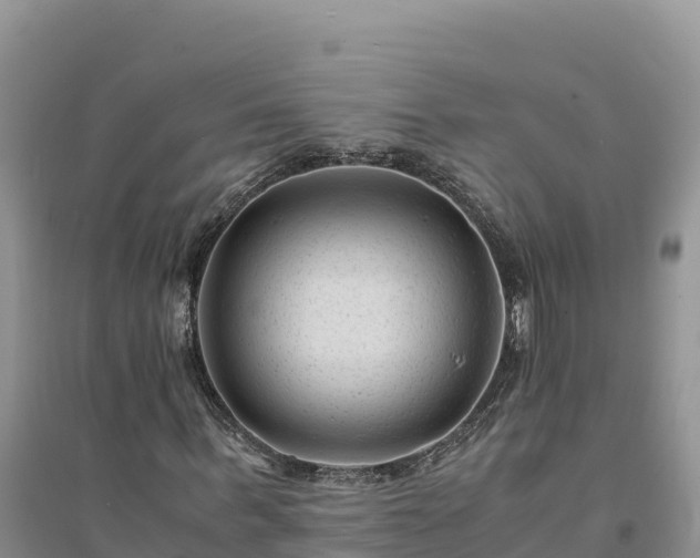 X0000094340963200711091425