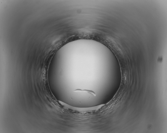 X0000094340964200711091425