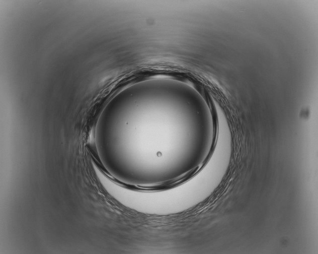 X0000094340965200711091425