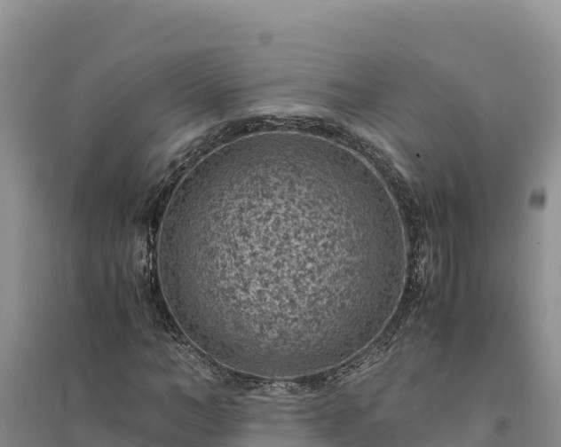 X0000094340966200711091425