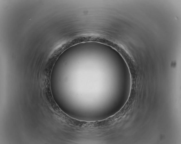 X0000094340967200711091425