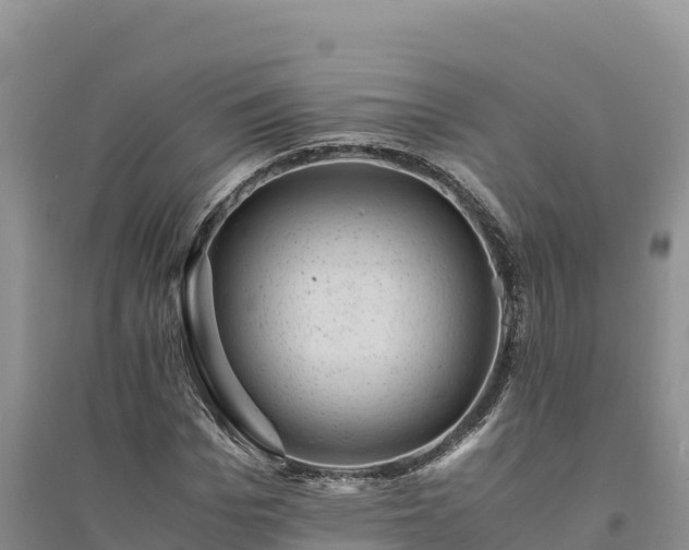X0000094340969200711091425