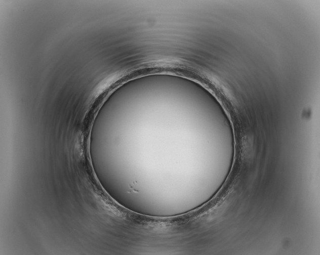 X0000094340970200711091425