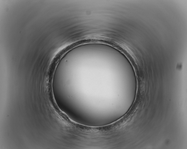 X0000094340971200711091425