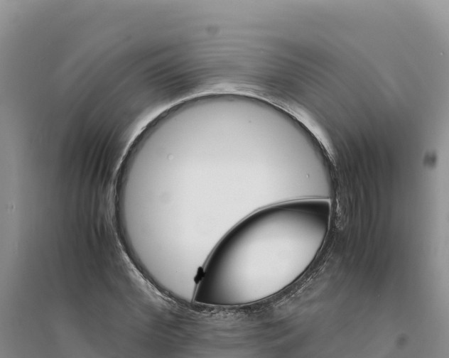 X0000094340972200711091425