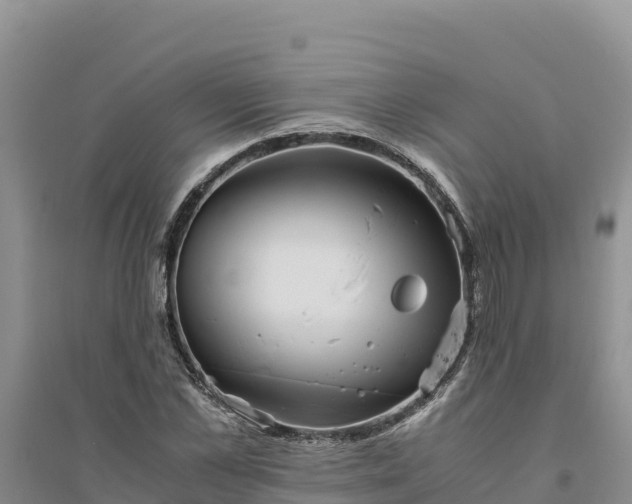 X0000094340973200711091425