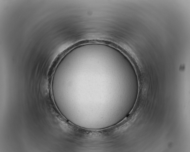X0000094340974200711091425