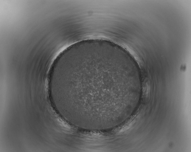 X0000094340975200711091425