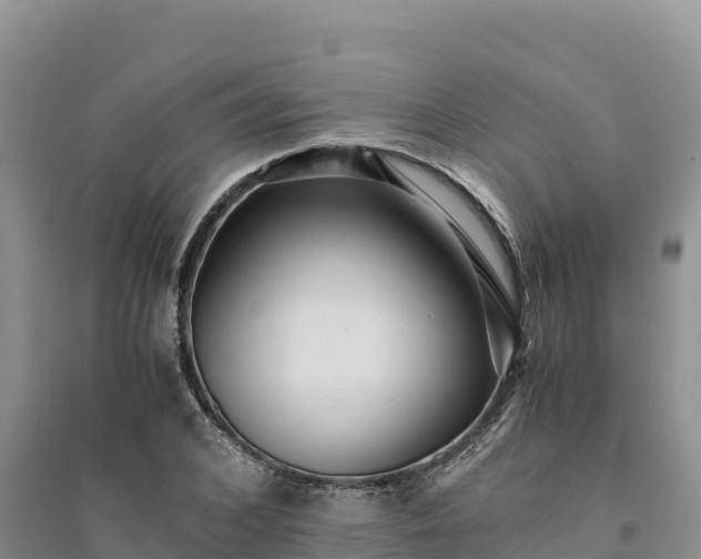 X0000094340976200711091425