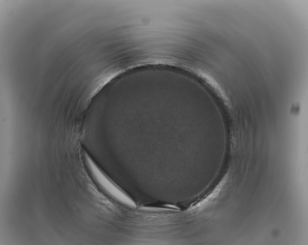 X0000094340977200711091425
