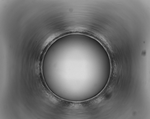 X0000094340978200711091425
