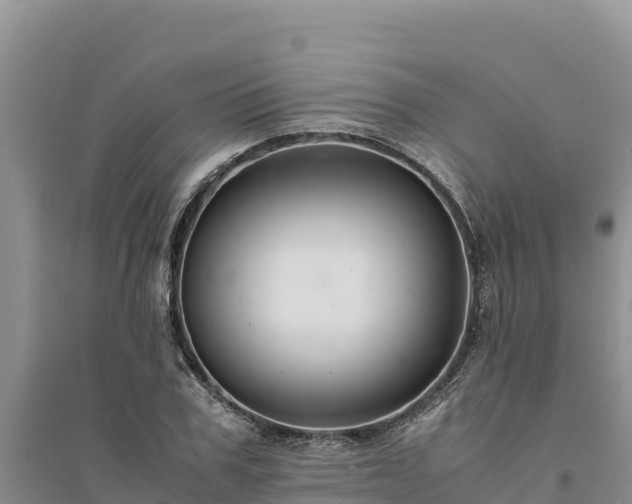 X0000094340979200711091425