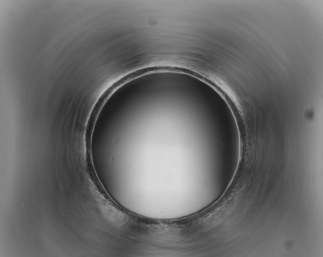 X0000094340980200711091425