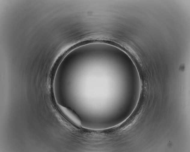X0000094340981200711091425
