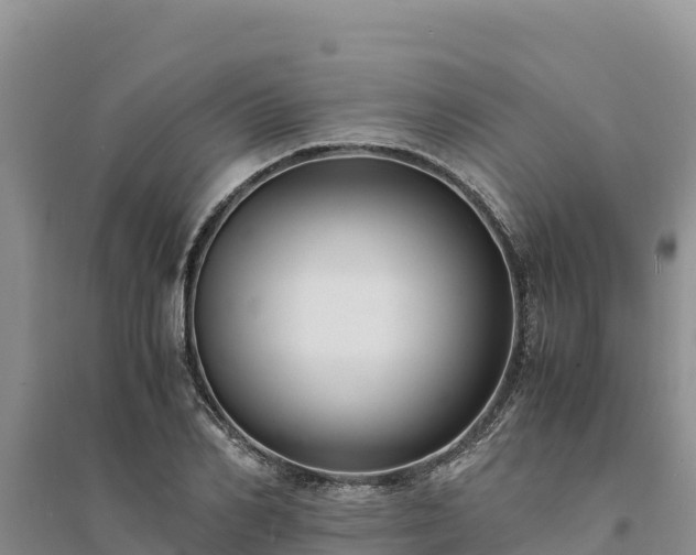 X0000094340982200711091425