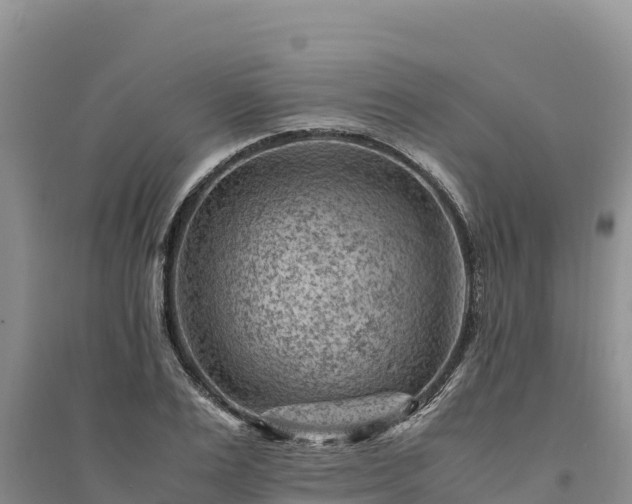 X0000094340983200711091425