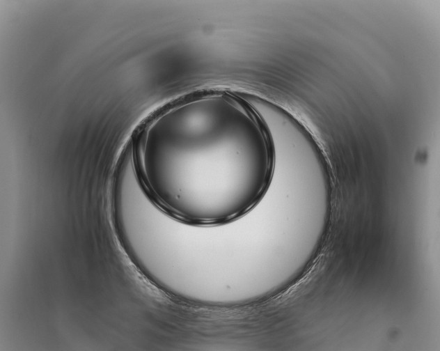 X0000094340984200711091425