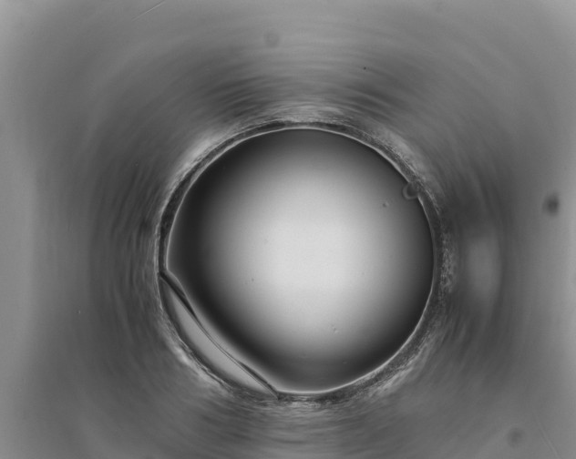 X0000094340986200711091425