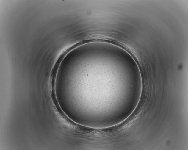 X0000094340987200711091425
