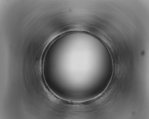 X0000094340988200711091425