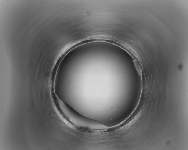 X0000094340989200711091425