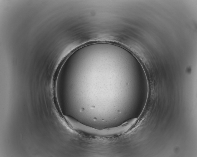 X0000094340990200711091425
