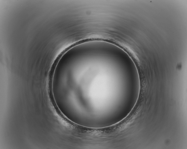 X0000094340991200711091425