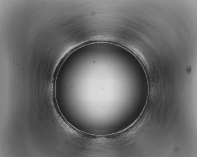 X0000094340992200711091425
