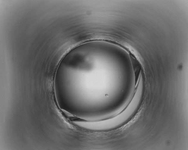 X0000094340993200711091425