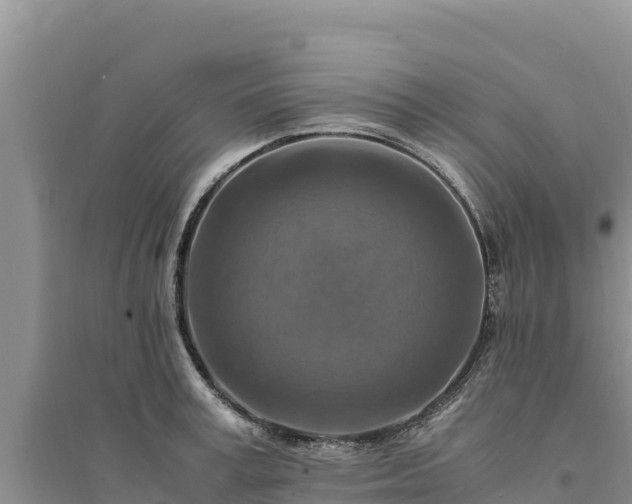 X0000094340995200711091425