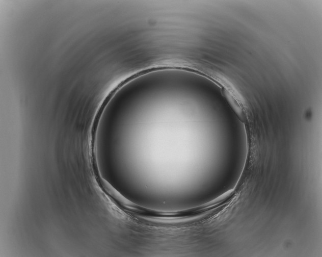 X0000094340996200711091425