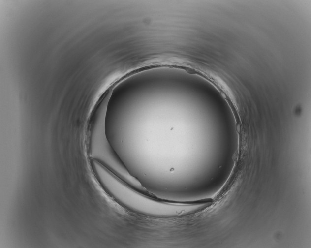 X0000094340997200711091425