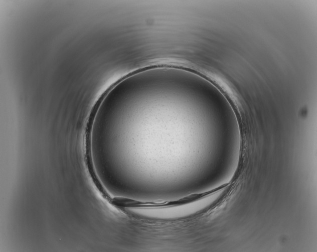 X0000094340999200711091425
