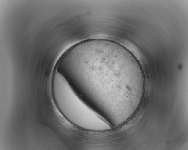 X0000094341000200711091425