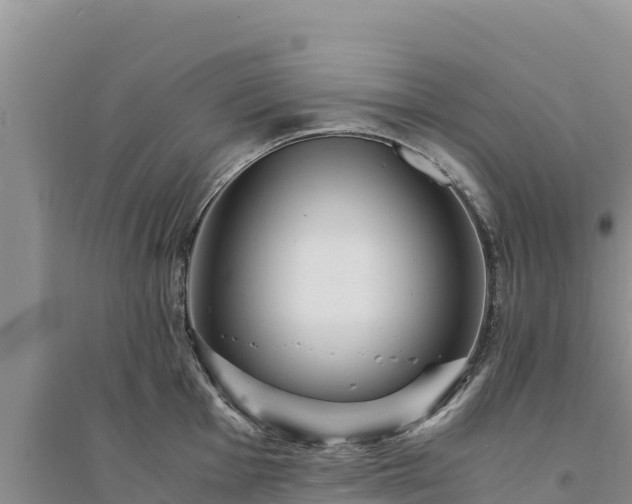 X0000094341001200711091425