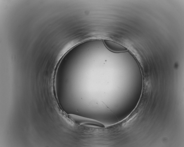 X0000094341002200711091425