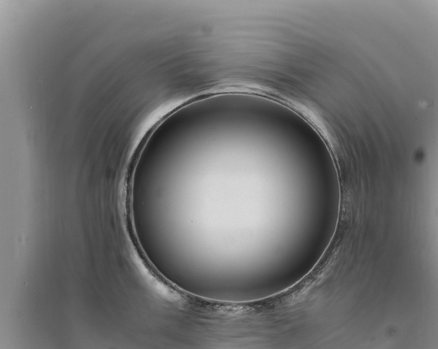 X0000094341003200711091425