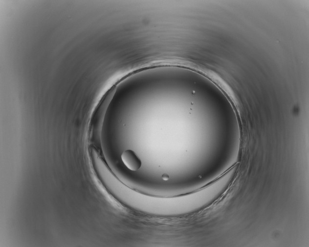 X0000094341005200711091424