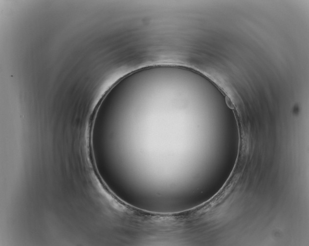 X0000094341006200711091424