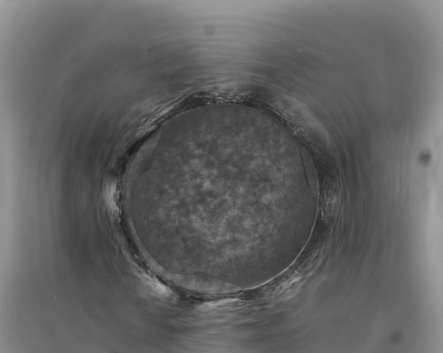 X0000094341010200711091424