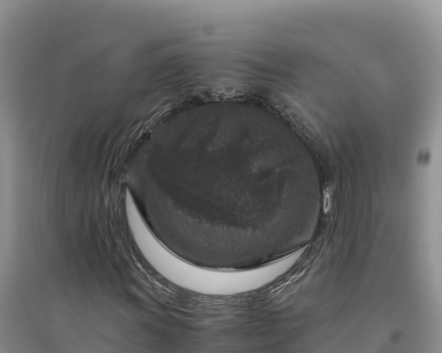 X0000094341011200711091424