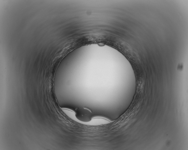 X0000094341012200711091424