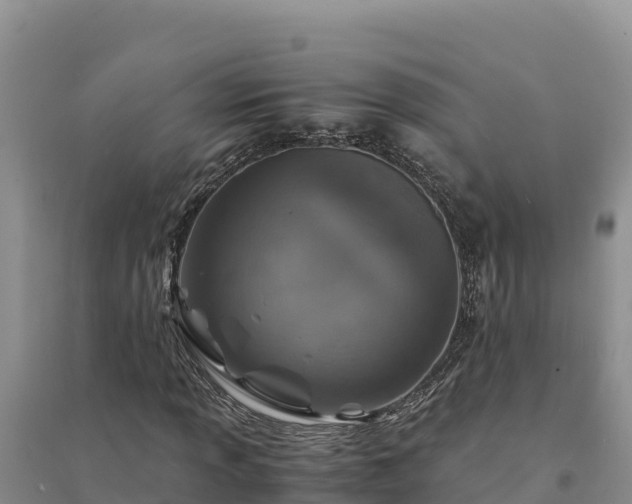X0000094341013200711091424