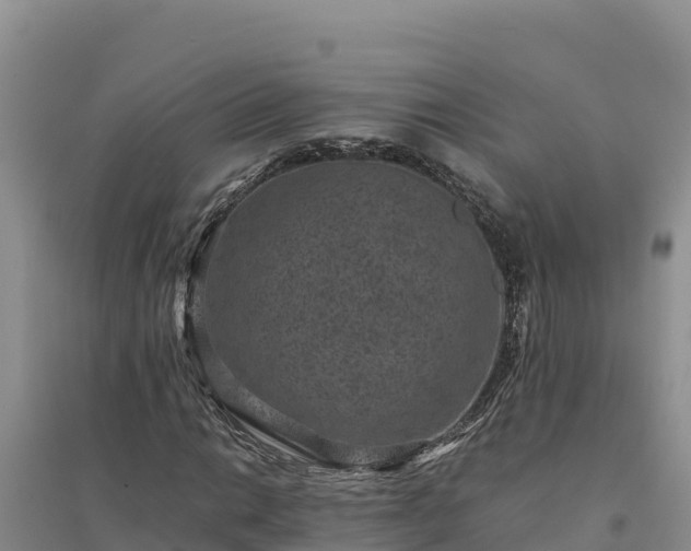 X0000094341014200711091424