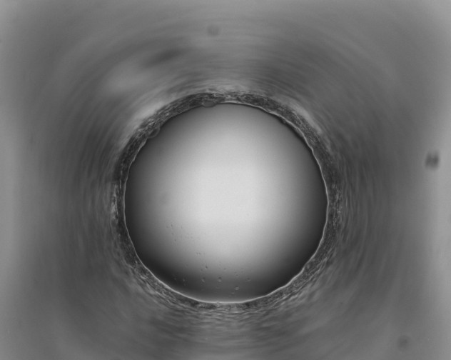 X0000094341016200711091424