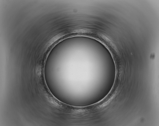 X0000094341017200711091424