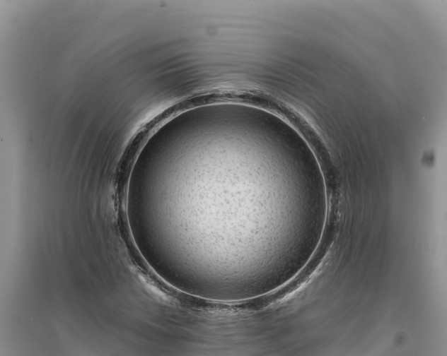 X0000094341018200711091424