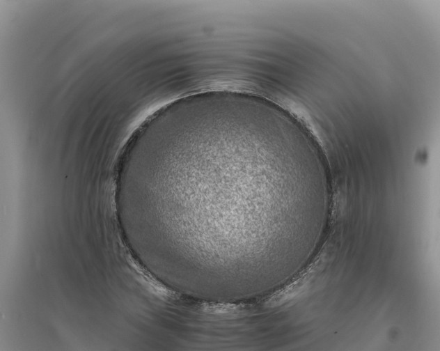 X0000094341019200711091424
